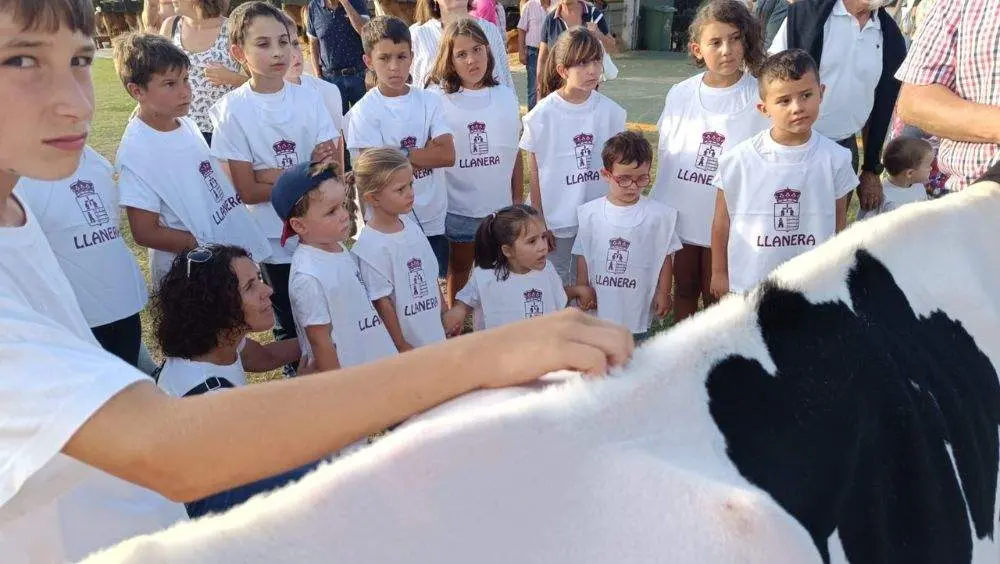 pequenos-manejadores-4