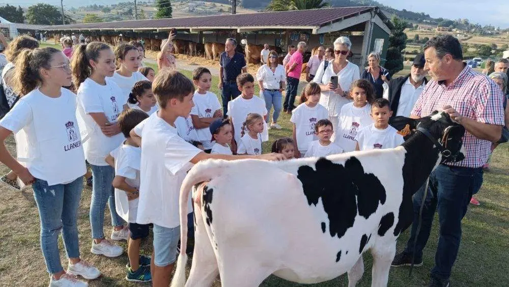 pequenos-manejadores-5