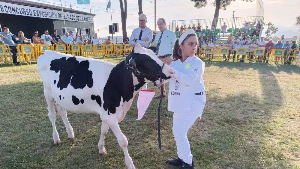 pequenos-manejadores-6