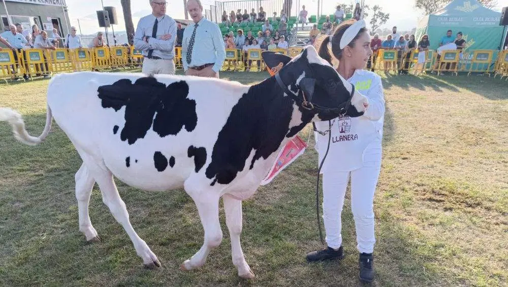 pequenos-manejadores-8