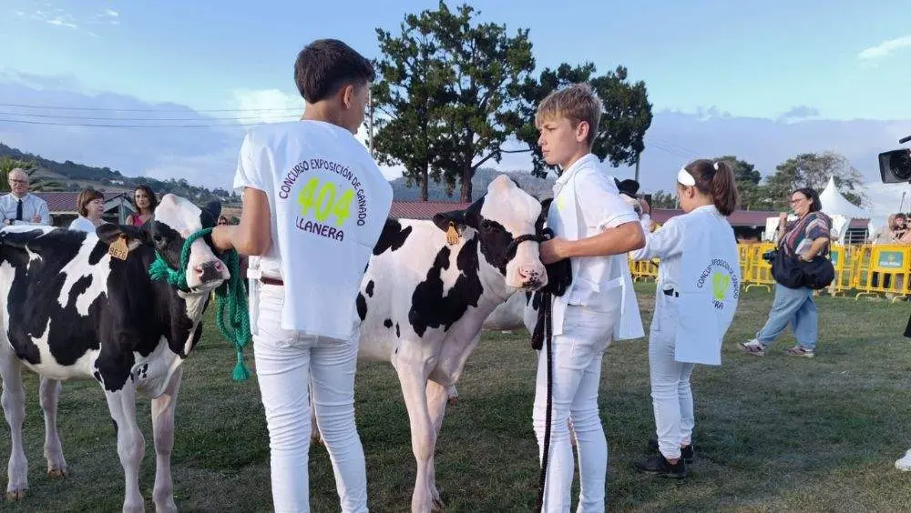 pequenos-manejadores-9