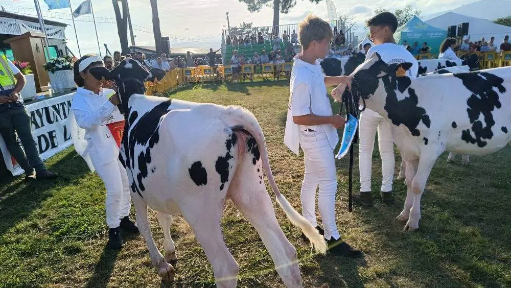 pequenos-manejadores-10