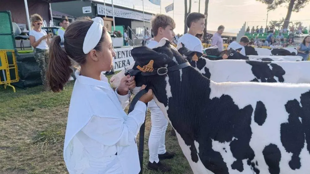 pequenos-manejadores-11