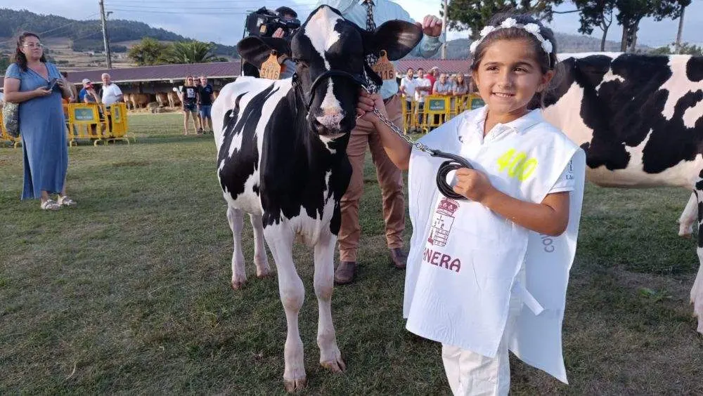 pequenos-manejadores-15