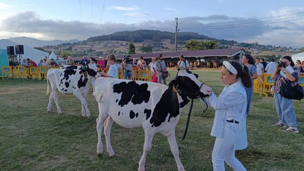 pequenos-manejadores-16