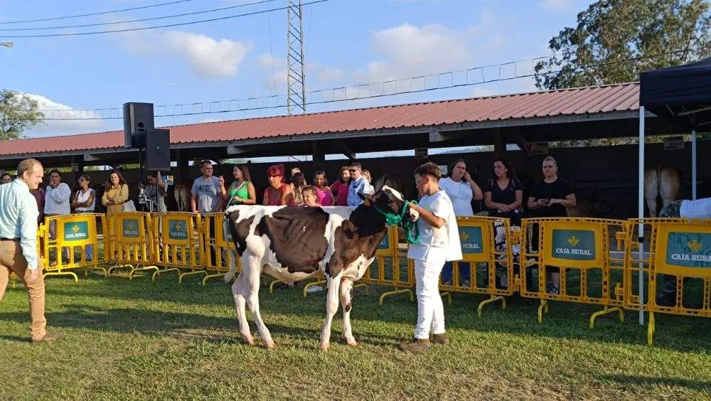 pequenos-manejadores-17