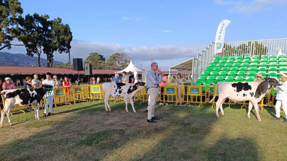 pequenos-manejadores-18