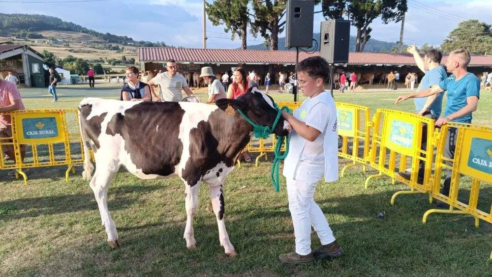 pequenos-manejadores-20