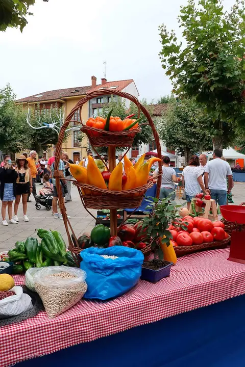 huerta-posada-llanes-04