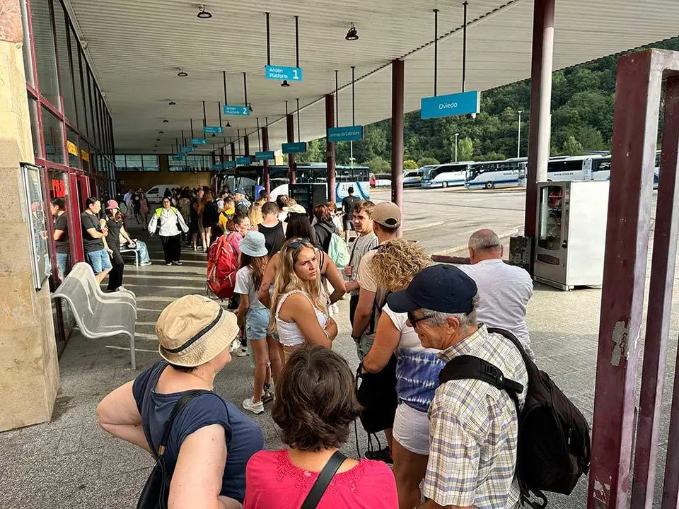 autobus-lagos-covadonga-01