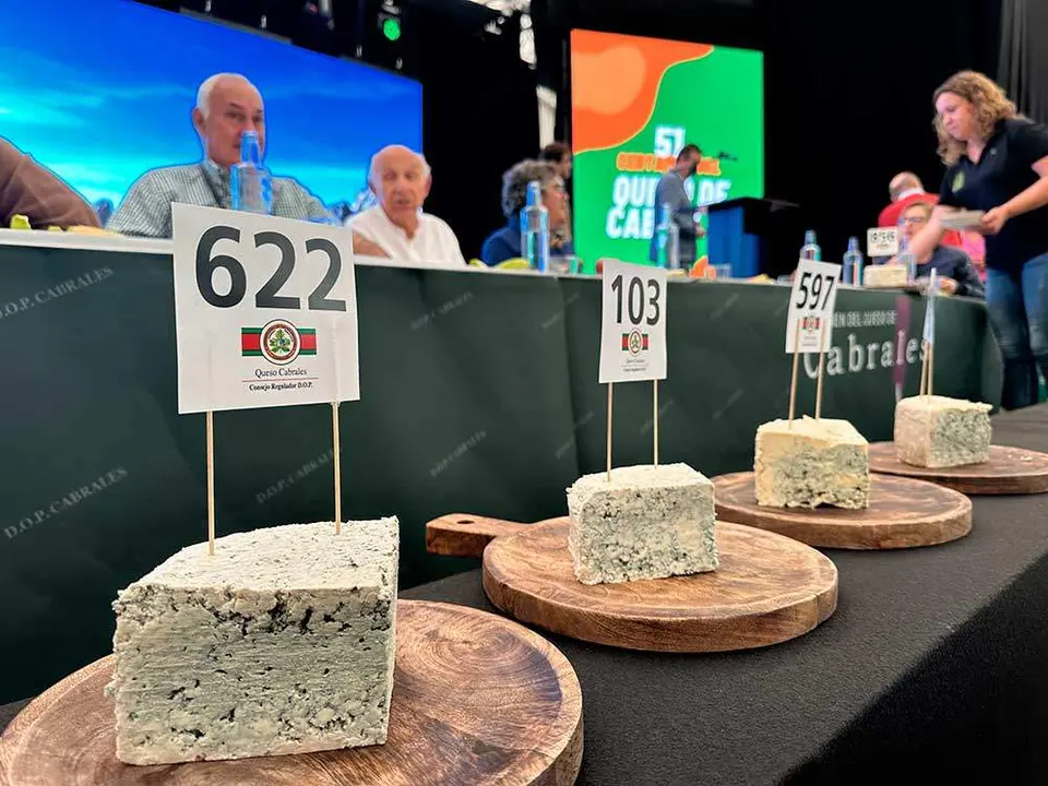 queso-cabrales-2023-23