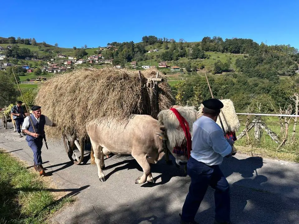 procesion-san-cosme-nieda-6