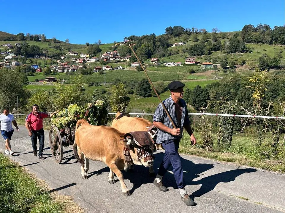 procesion-san-cosme-nieda-7