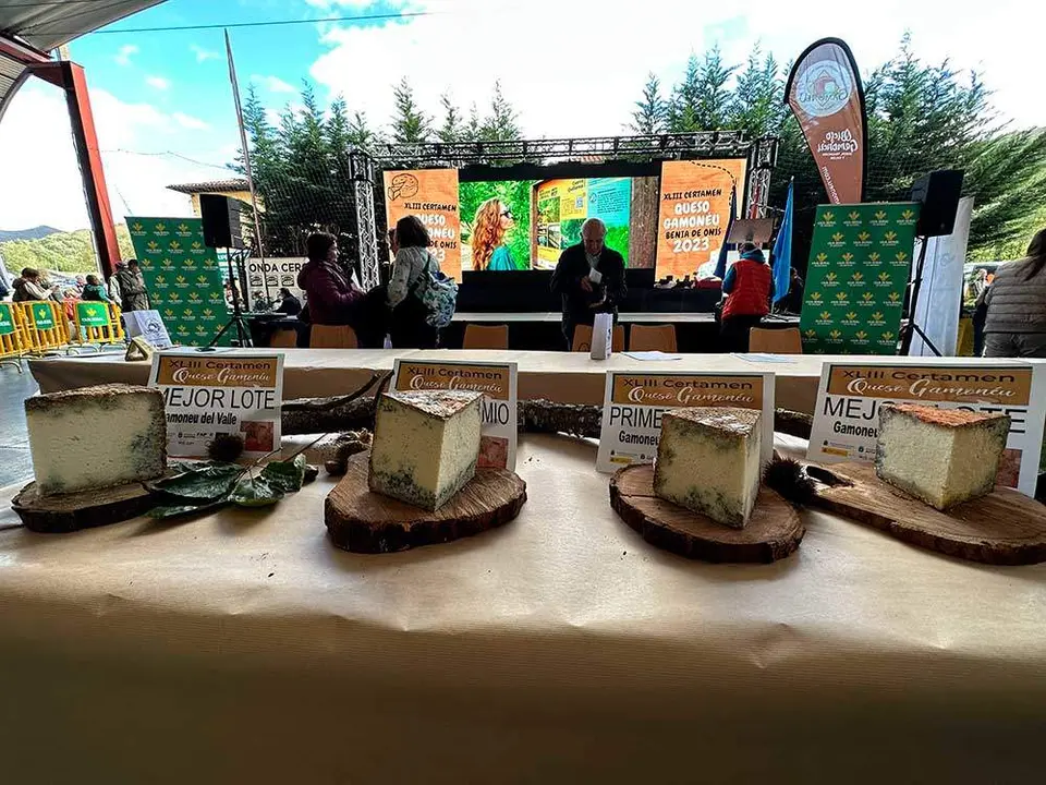 certamen-gamoneu-onis-2023-23