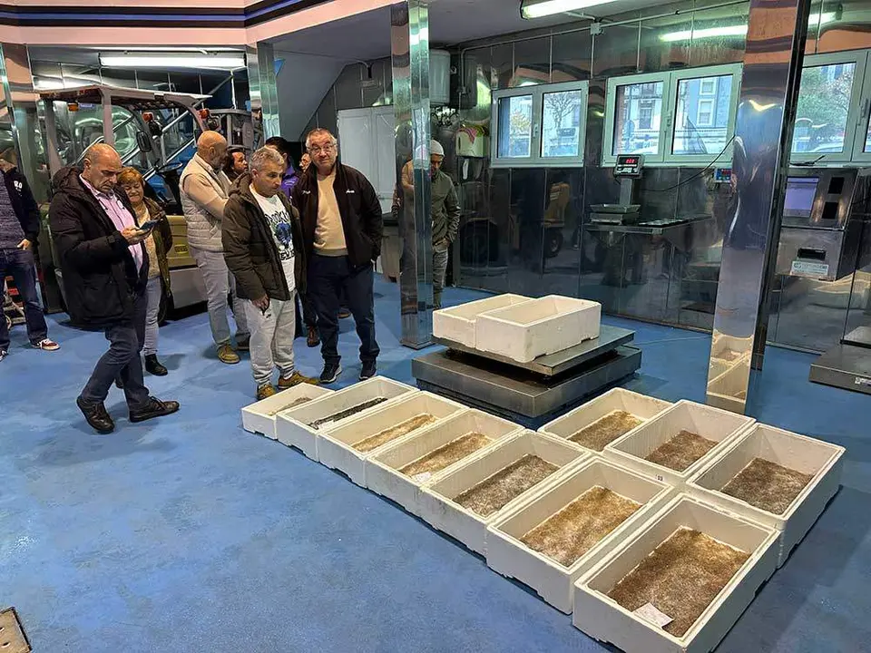 angula-ribadesella-2023