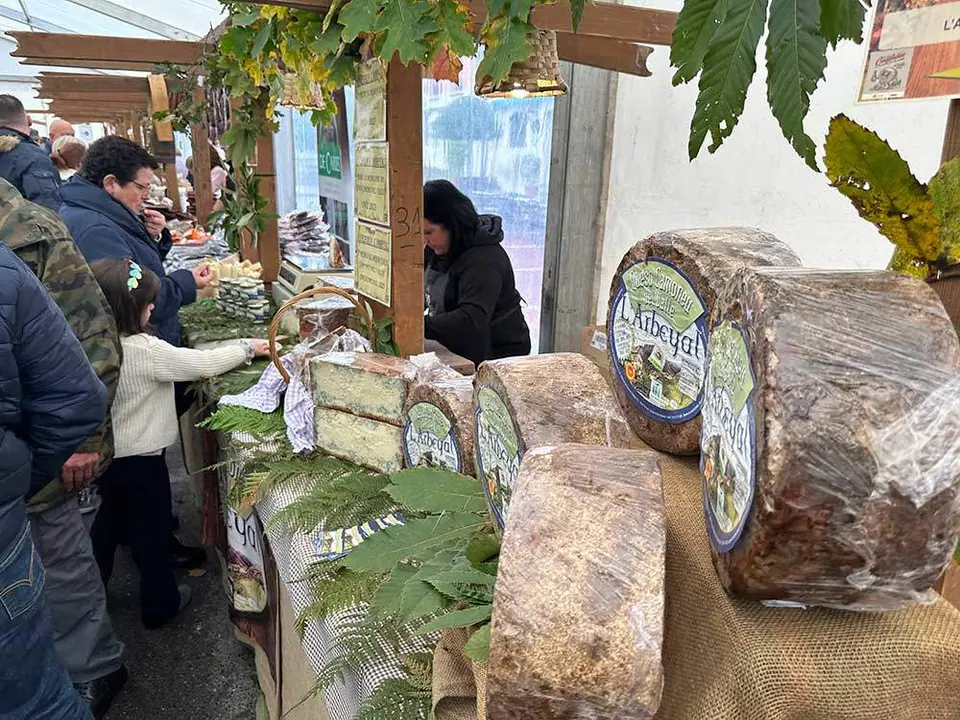 castana-arriondas-2023-23