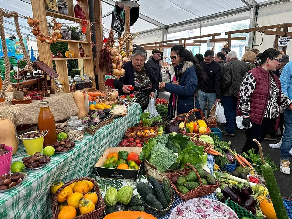 premios-castana-arriondas-2023-29