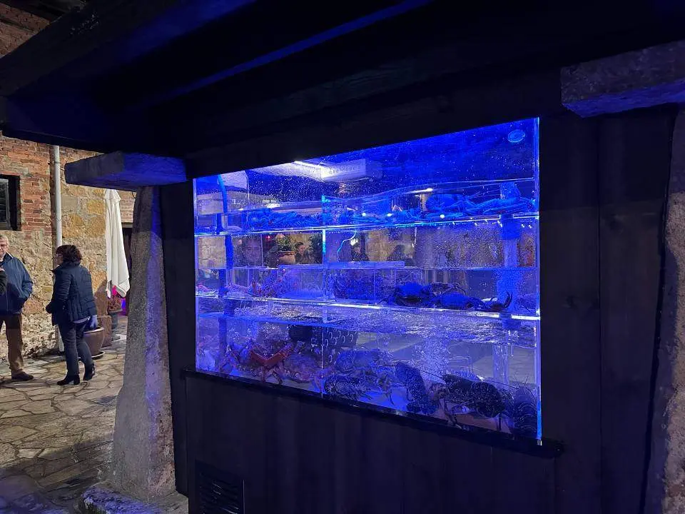 inauguracion-villa-maria (2)