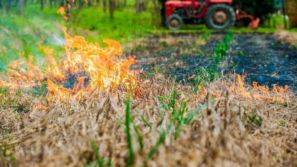 juicio-quema-ganadero-llanes