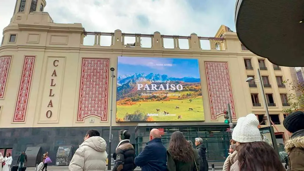 ponga-bedules-madrid-ave-oviedo