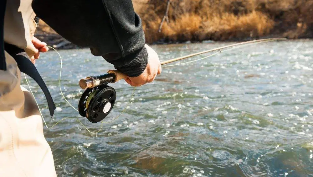 anulacion-normativa-pesca-esmerillon