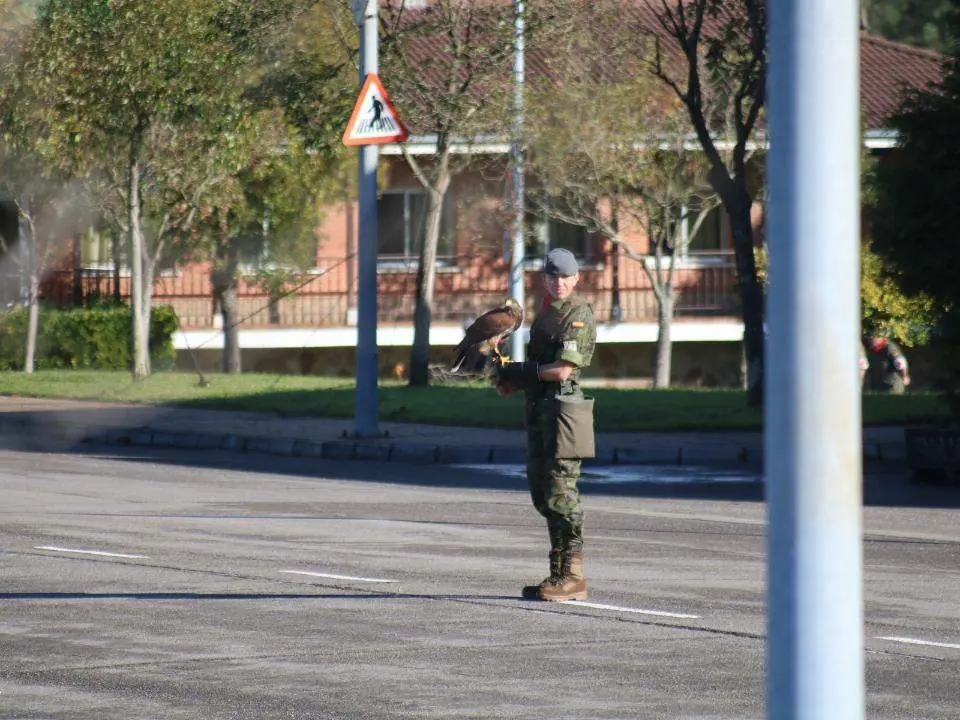 nuevo-coronel-cabo-noval-34