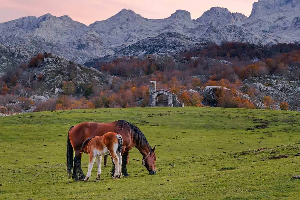 concurso-fotografia-cangas-onis-2023-03