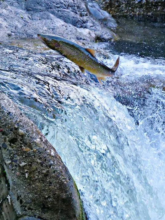 concurso-fotografia-cangas-onis-2023-05