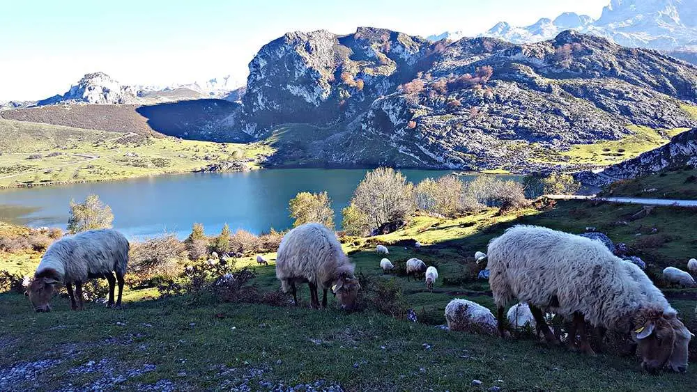 concurso-fotografia-cangas-onis-2023-11