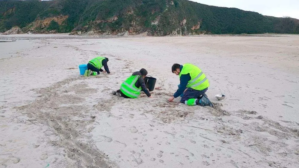 limpieza-pellets-asturias