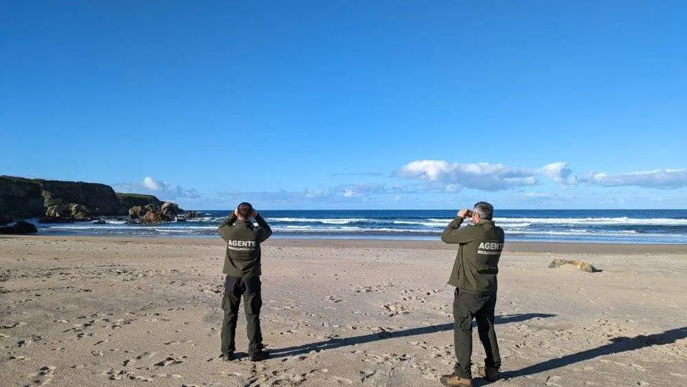 recogida-pellets-asturias