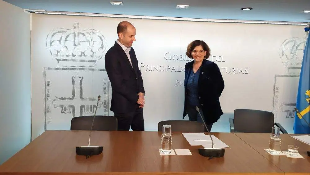 propuesta-areas-salud-asturias