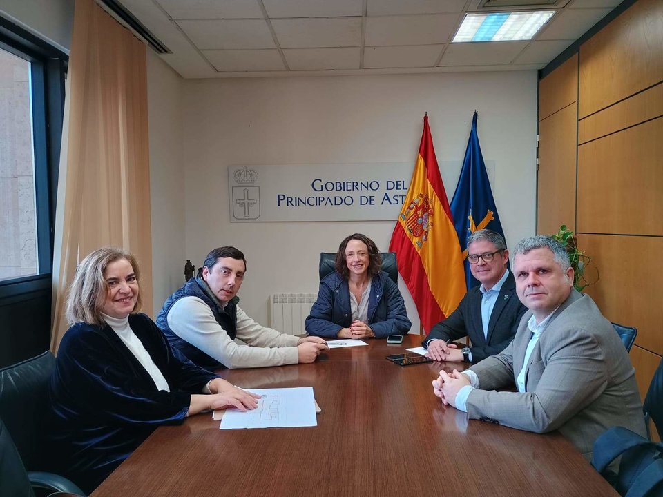 Un momento de la reunión de los representantes del ayuntamiento de Llanera con la consejera Melania Álvarez