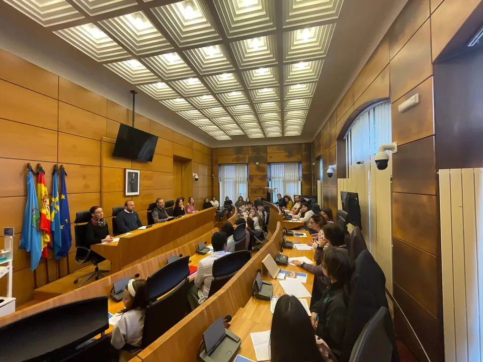 Un momento de la sesi&oacute;n del consejo de infancia y adolescencia