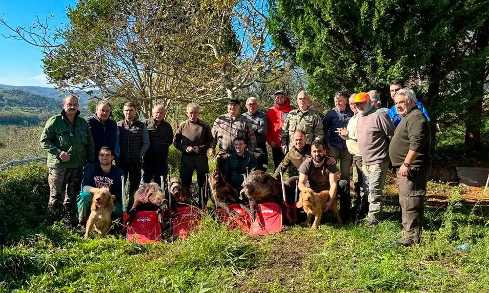 jabalies-villaviciosa