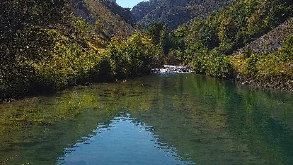 cares-ahogada-juicio