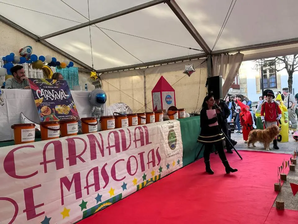 carnaval-mascotas-cangas-onis-10