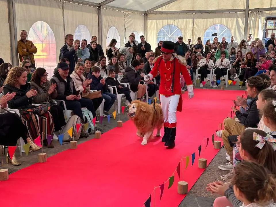 carnaval-mascotas-cangas-onis-11