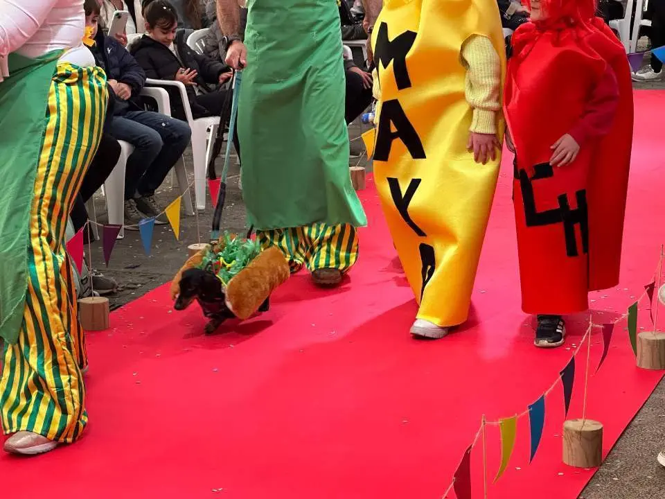 carnaval-mascotas-cangas-onis-14