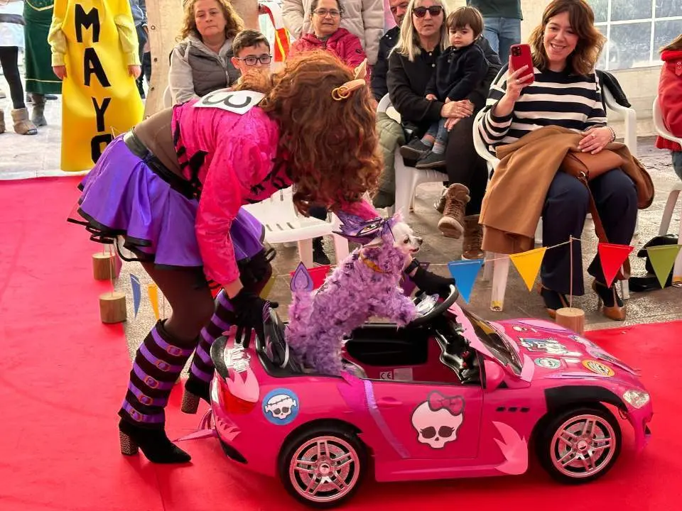 carnaval-mascotas-cangas-onis-17