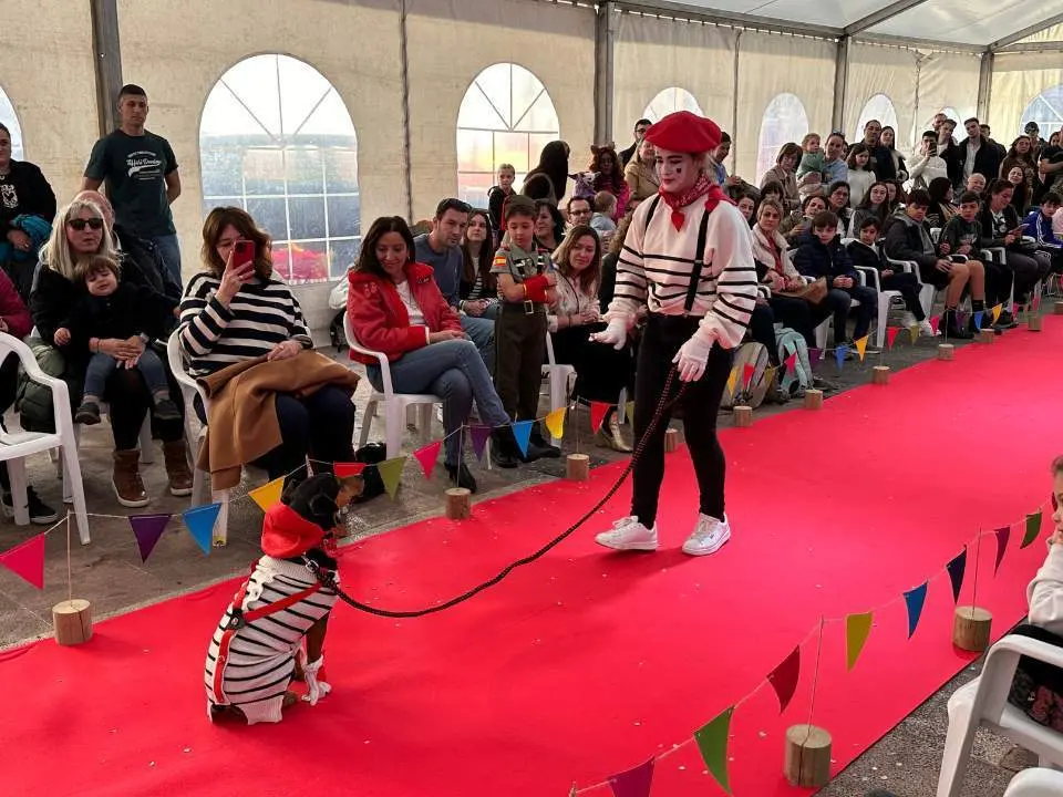 carnaval-mascotas-cangas-onis-36