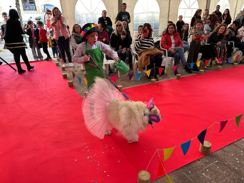 carnaval-mascotas-cangas-onis-37