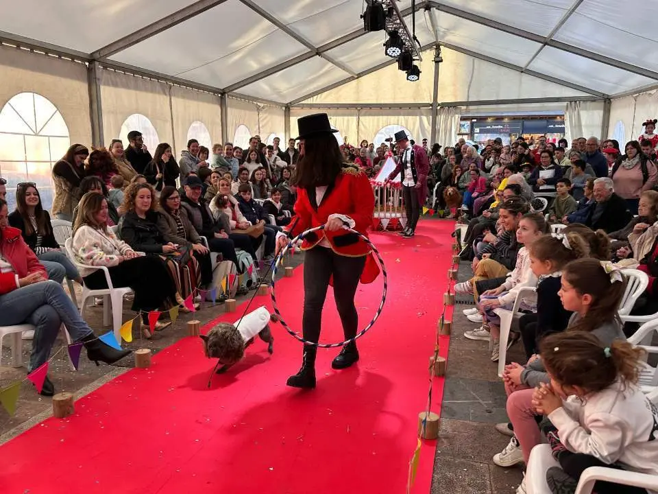 carnaval-mascotas-cangas-onis-42