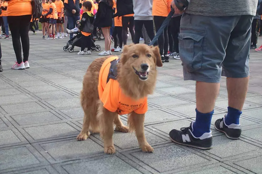 carrera-galban-llanera-2024-02