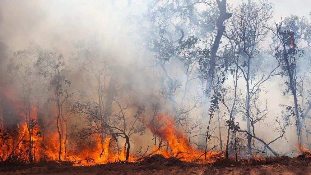 juicio-incendio-vidiago-llanes
