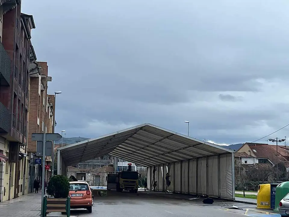 carpa-pelambre-antroxu-villaviciosa