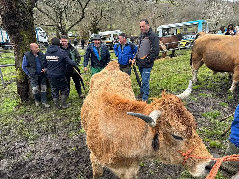 feria-corao-marzo-2024-04