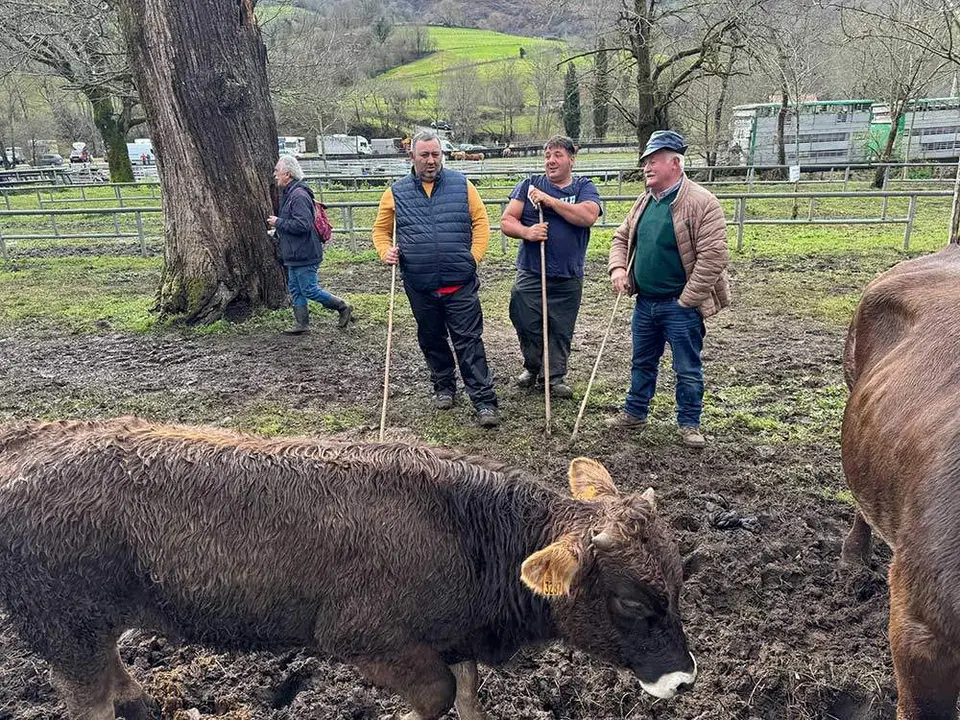 feria-corao-marzo-2024-06