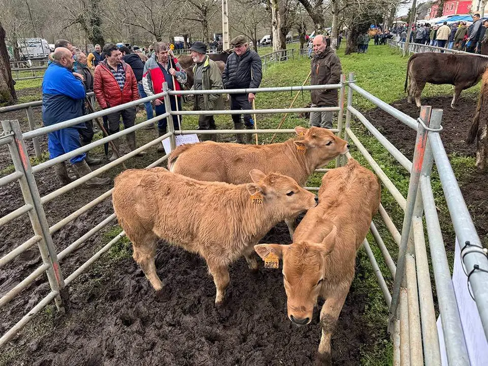 feria-corao-marzo-2024-09