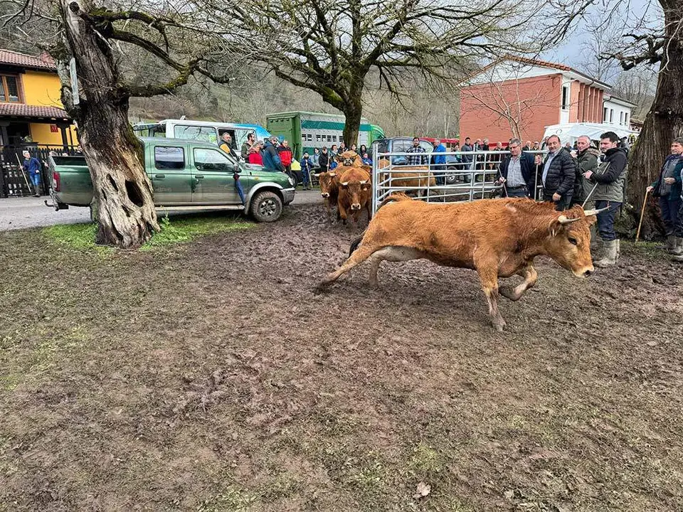 feria-corao-marzo-2024-14